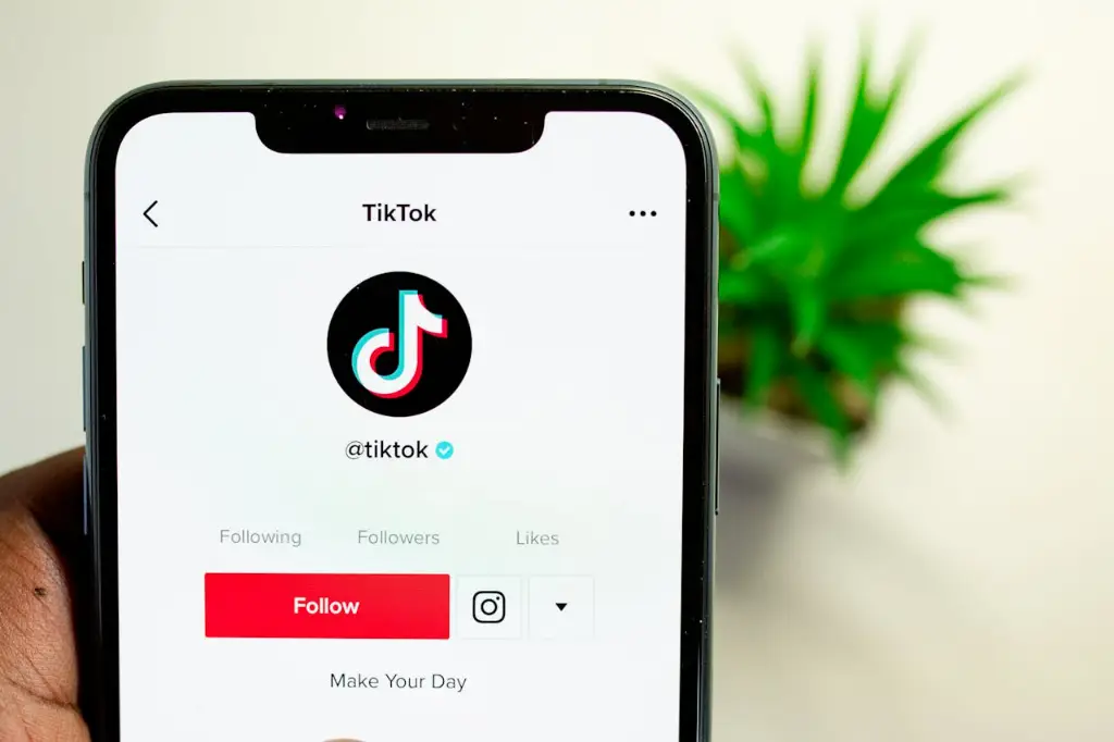 centang biru TikTok