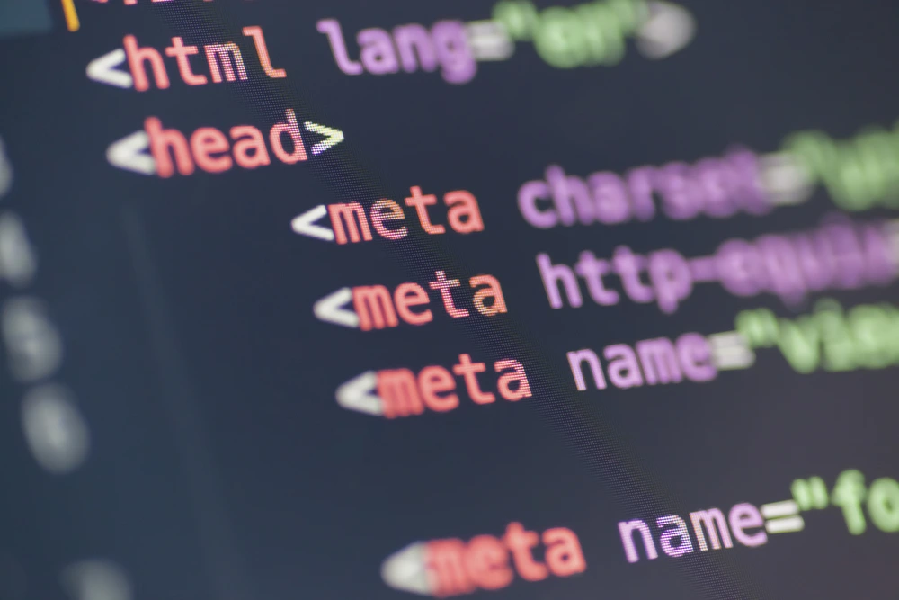 Front End Developer